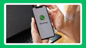 WhatsApp Bio Stylish, Aesthetic, Funny, And More Bio Ideas For WhatsApp