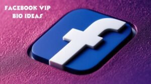 Facebook VIP Bio 2024 Stylish, Attitude, Love Bio Ideas for Boys and Girls