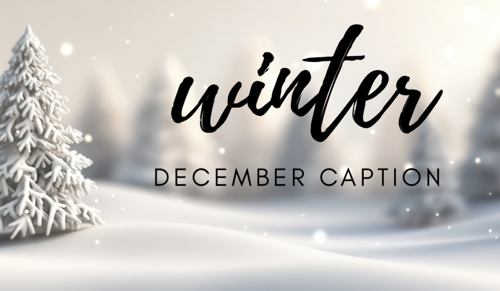 December Caption 