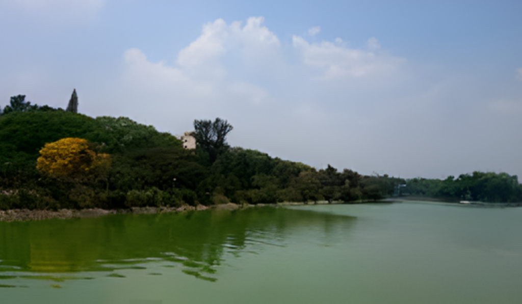 
top 10 places to visit in Bangalore